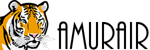 Amurair large logo 3